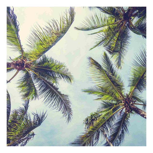 Wohndeko Tropisch Die Palmen