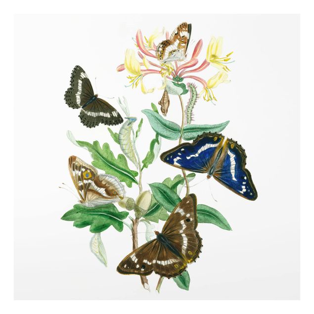 Wanddeko weiß Britische Schmetterlinge IV