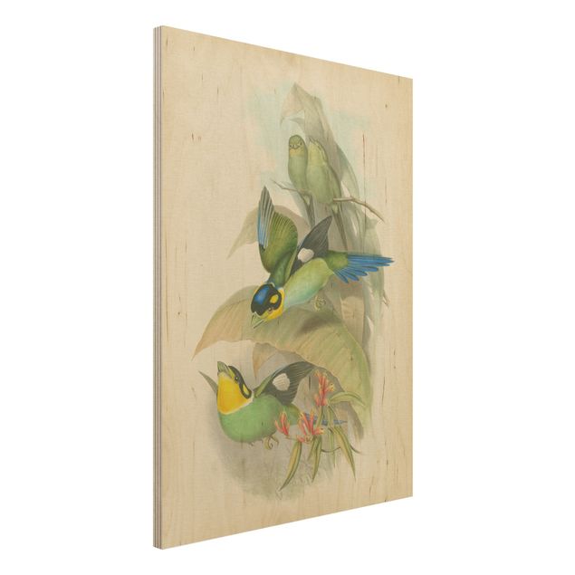 Wanddeko Schlafzimmer Vintage Illustration Tropische Vögel