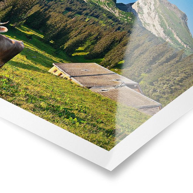 Wanddeko Treppenhaus Schweizer Almwiese mit Kuh
