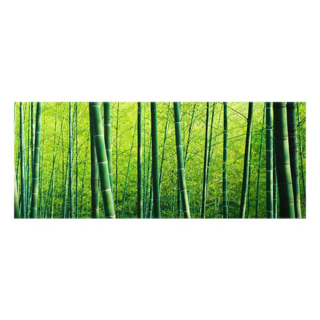 Wanddeko grün Bambuswald