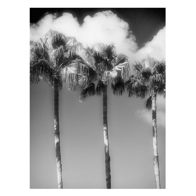 Wanddeko Esszimmer Palmen vor Himmel Schwarz-Weiß