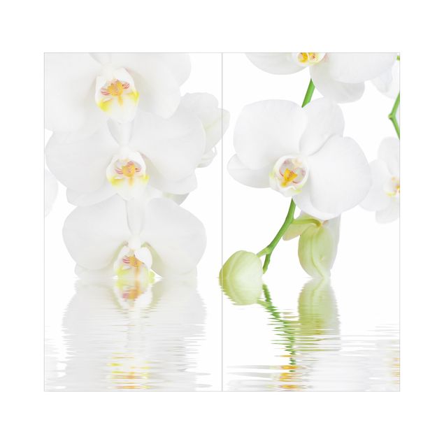 Duschrückwand - Wellness Orchidee - Weiße Orchidee