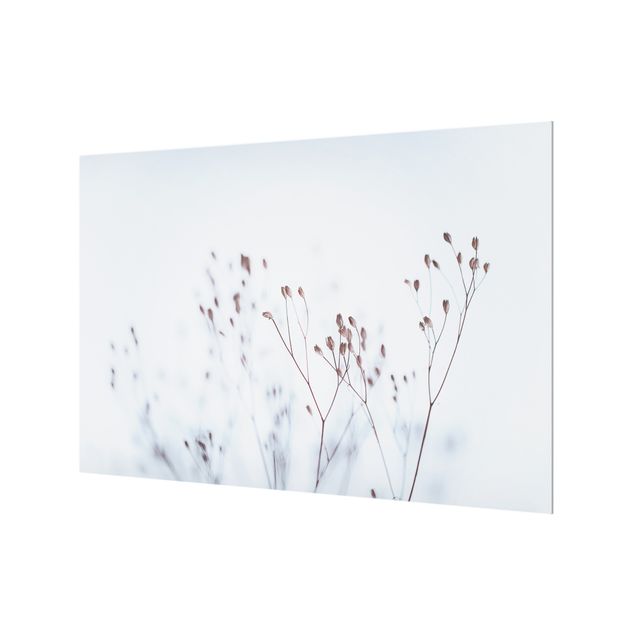 Wanddeko Fotografie Zartblaue Wildblumen