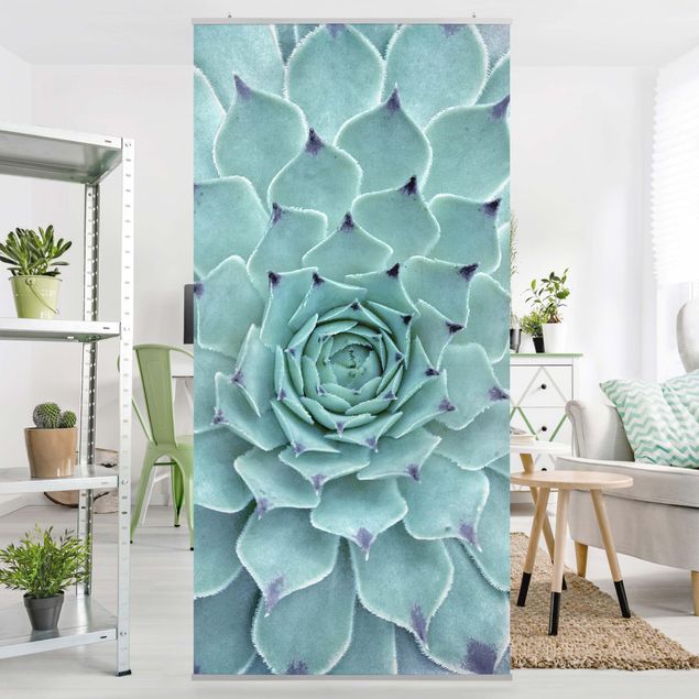 Wanddeko Schlafzimmer Kaktus Agave
