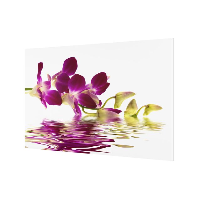 Wanddeko violett Pink Orchid Waters