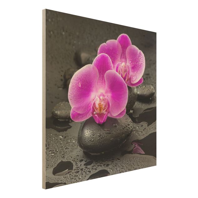 Wanddeko Schlafzimmer Pinke Orchideenblüten auf Steinen mit Tropfen