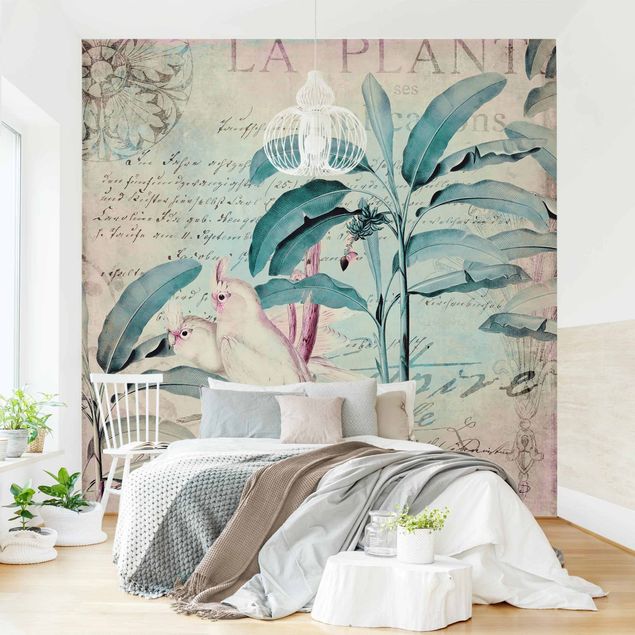 Wanddeko Schlafzimmer Colonial Style Collage - Kakadus und Palmen