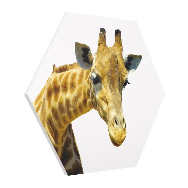 Wanddeko Esszimmer No.21 Neugierige Giraffe