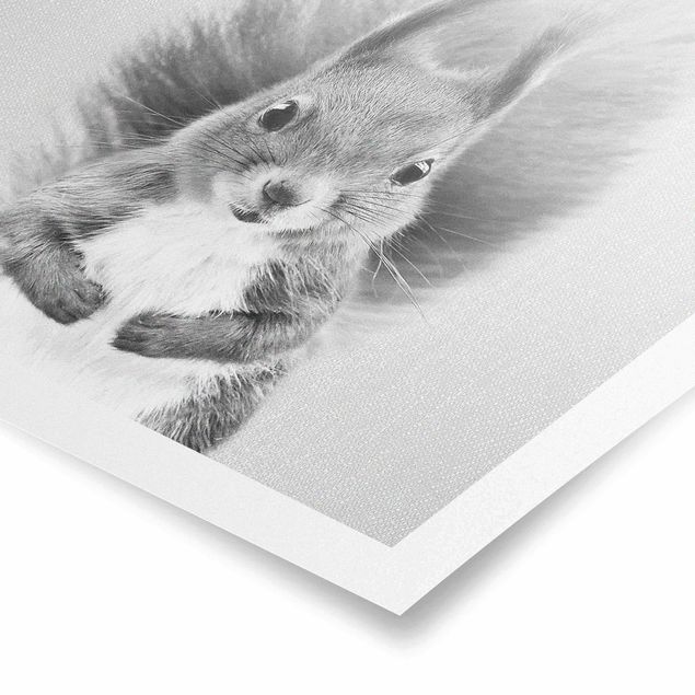 Wanddeko über Bett Eichhörnchen Elisabeth Schwarz Weiß