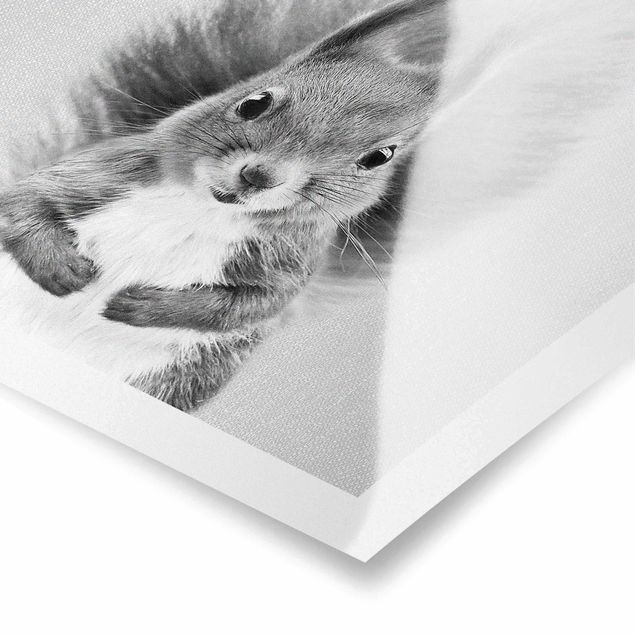 Wanddeko schwarz-weiß Eichhörnchen Elisabeth Schwarz Weiß