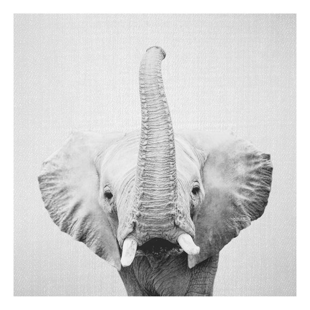 Wanddeko über Sofa Elefant Ewald Schwarz Weiß