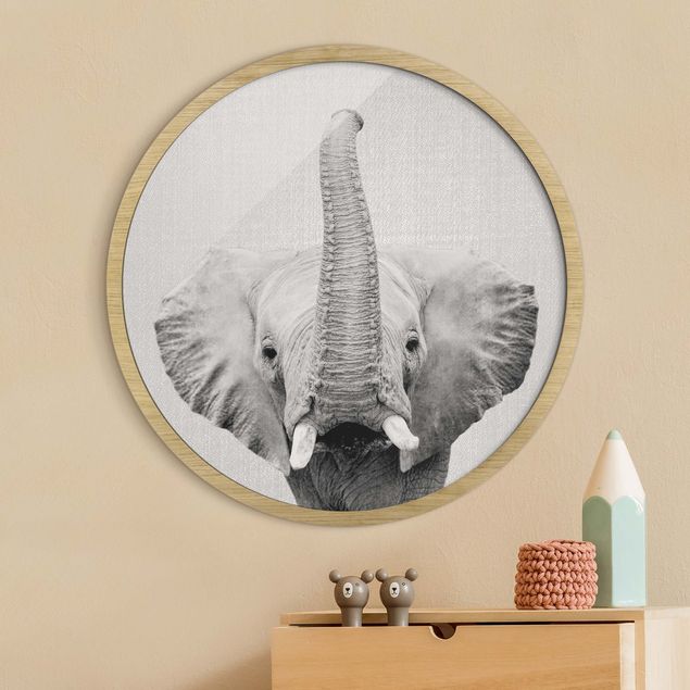Wandbilder Elefanten Elefant Ewald Schwarz Weiß