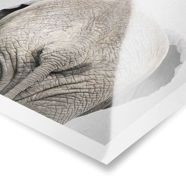 Wanddeko über Bett Elefant von hinten