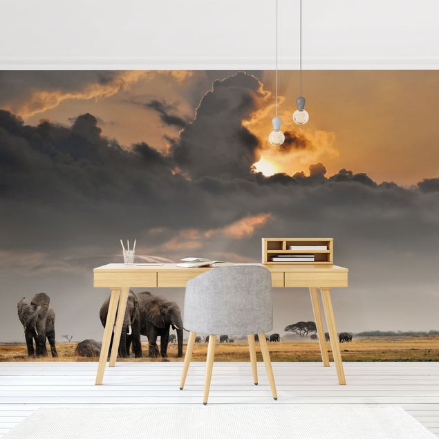 Küche Dekoration Elefanten der Savanne