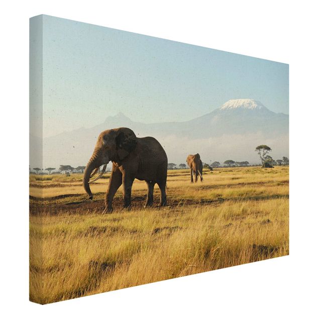 Wanddeko Schlafzimmer Elefanten vor dem Kilimanjaro in Kenya
