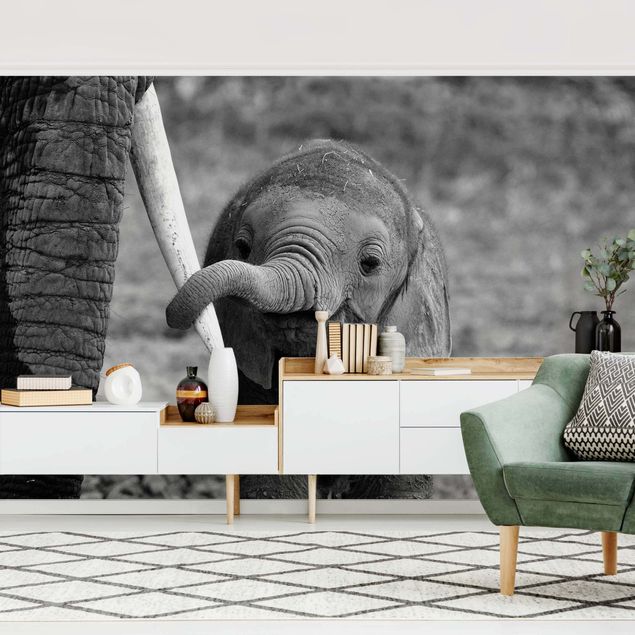 Wanddeko Küche Elefantenbaby