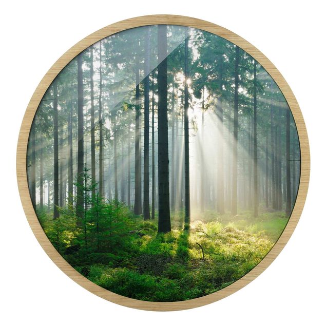 Wanddeko Praxis Enlightened Forest