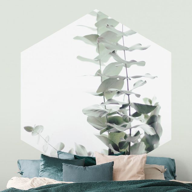 Wanddeko Schlafzimmer Eukalyptus im Weißen Licht