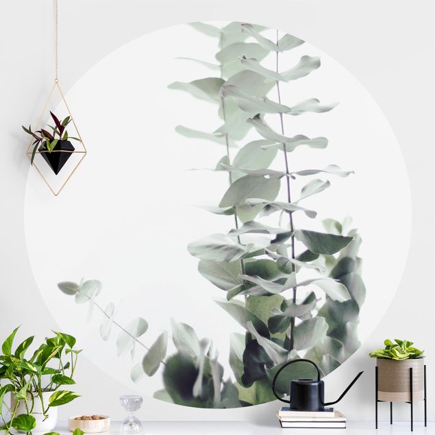 Wanddeko Wohnzimmer Eukalyptus im Weißen Licht