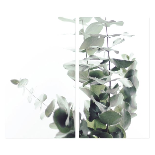 Deko Tropisch Eukalyptus im Weißen Licht