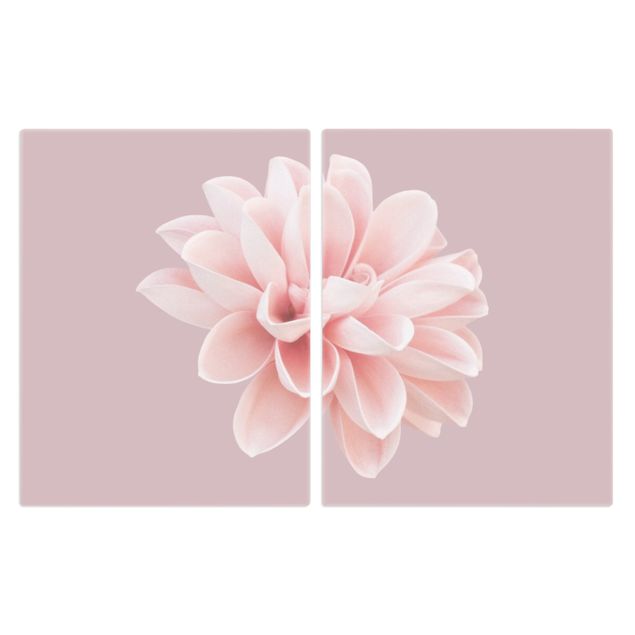 Herdabdeckplatten Blumen Dahlie Blume Lavendel Rosa Weiß