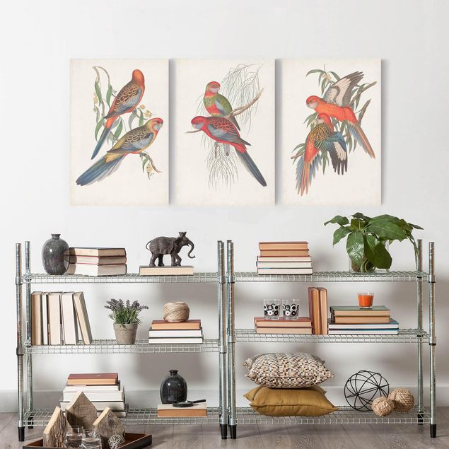 Wanddeko Wohnzimmer Tropische Papageien Set I