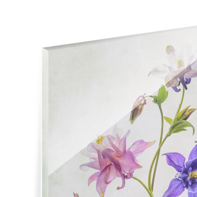 Glasrückwand Küche Blumen Wald-Akelei