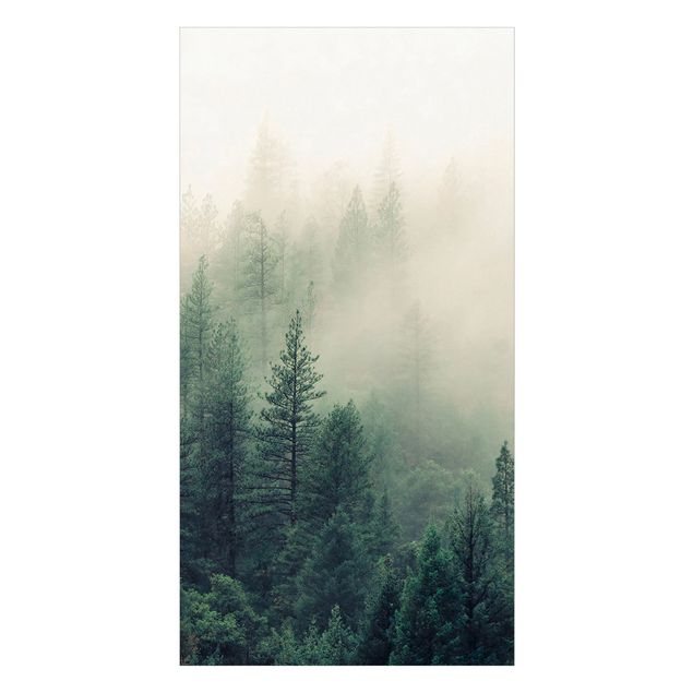Wanddeko Fotografie Wald im Nebel Erwachen