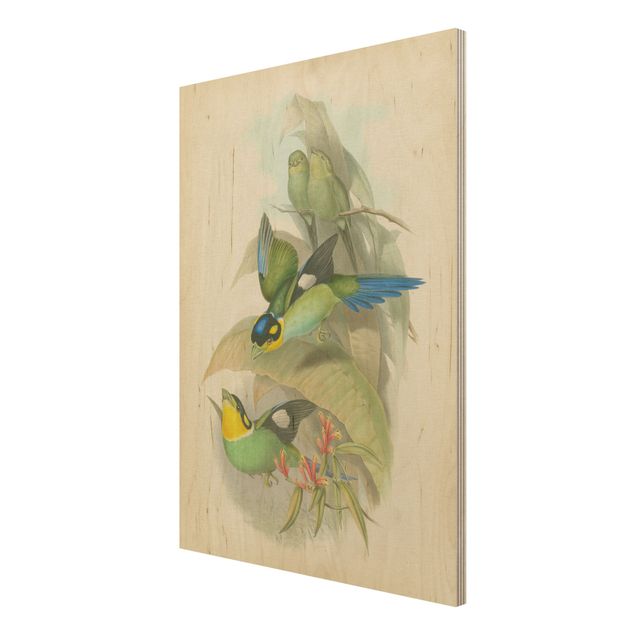 Wanddeko Esszimmer Vintage Illustration Tropische Vögel