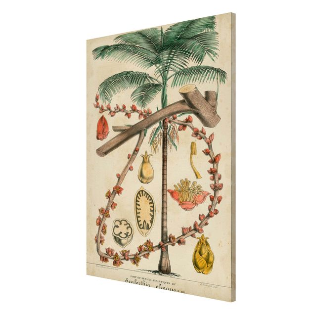 Wanddeko grün Vintage Lehrtafel Exotische palmen II