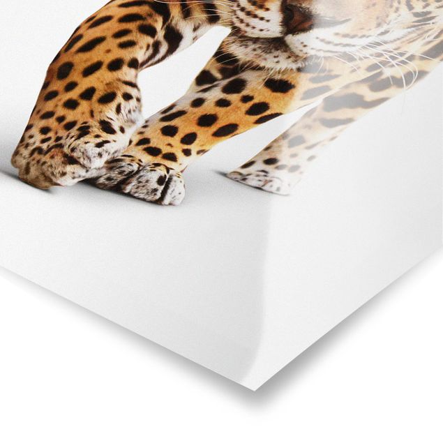 Wanddeko über Sofa Creeping Jaguar