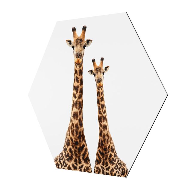 Wanddeko Treppenhaus Portait Zweier Giraffen