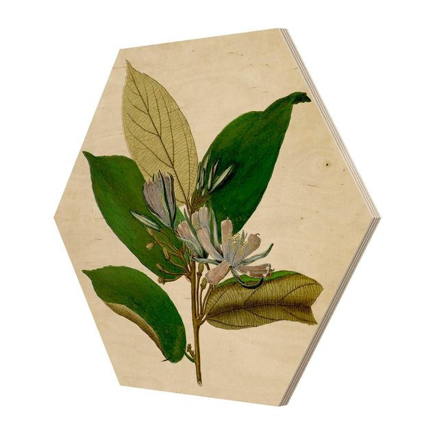 Wohndeko Pflanzen Laubbaum Schautafel IV