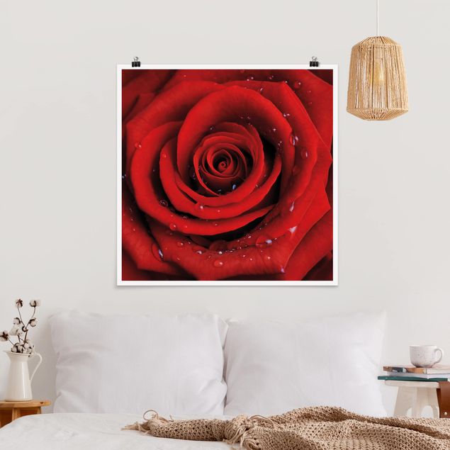 Wanddeko Wohnzimmer Rote Rose mit Wassertropfen