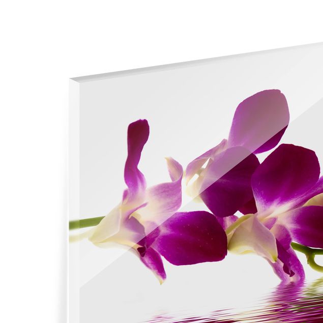 Glasrückwand Küche Blumen Pink Orchid Waters