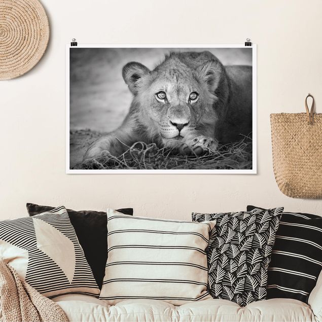 Wanddeko Schlafzimmer Lurking Lionbaby
