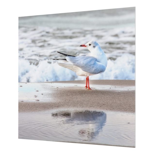 Wanddeko Fotografie Möwe am Strand vor Meer