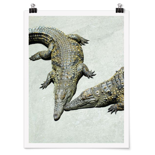 Wanddeko Büro Crocodile Romance
