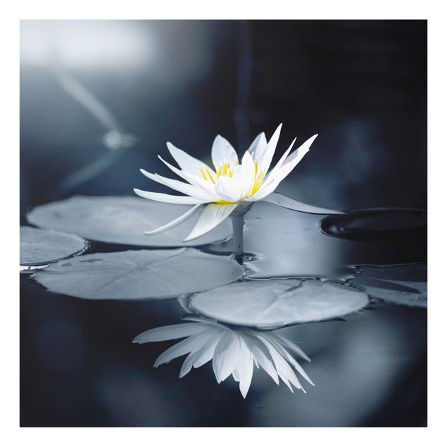 Wohndeko Fotografie Lotus Spiegelung im Wasser
