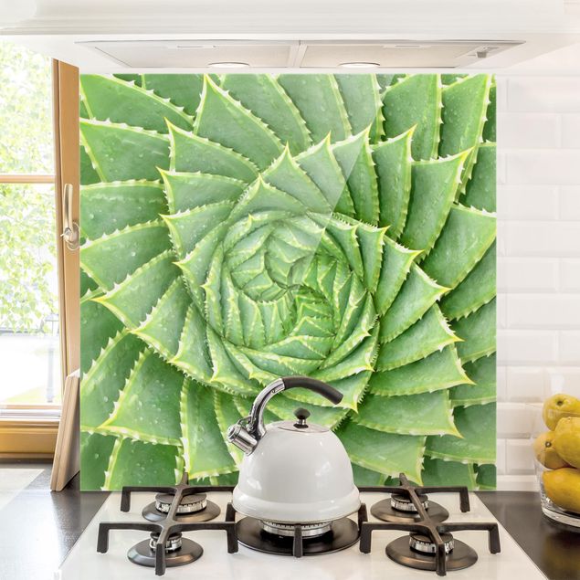 Wanddeko Küche Spiral Aloe