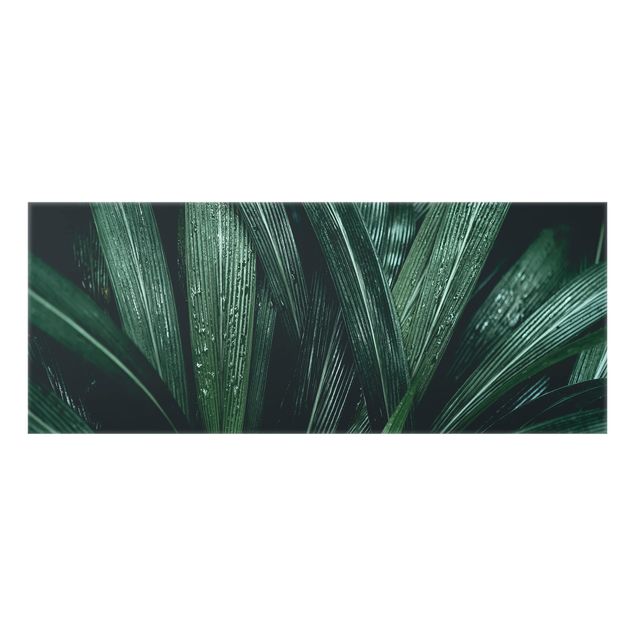 Wanddeko Pflanzen Grüne Palmenblätter