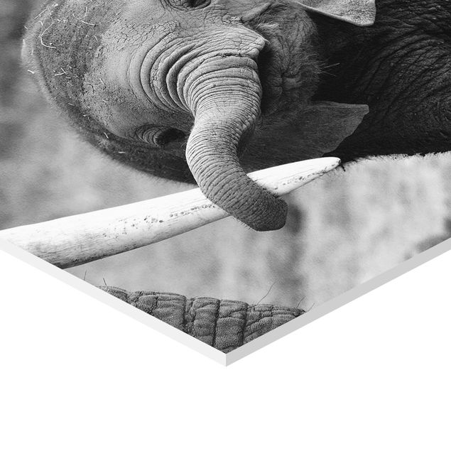 Wanddeko über Bett Elefantenbaby