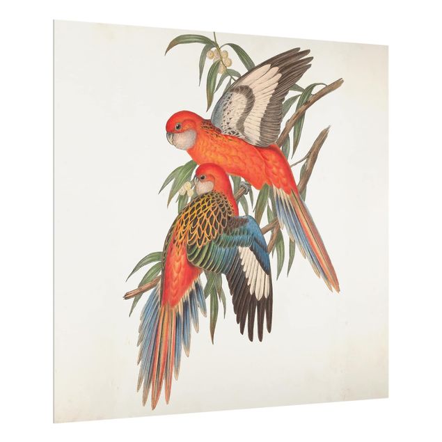 Wohndeko Tropisch Tropische Papageien I