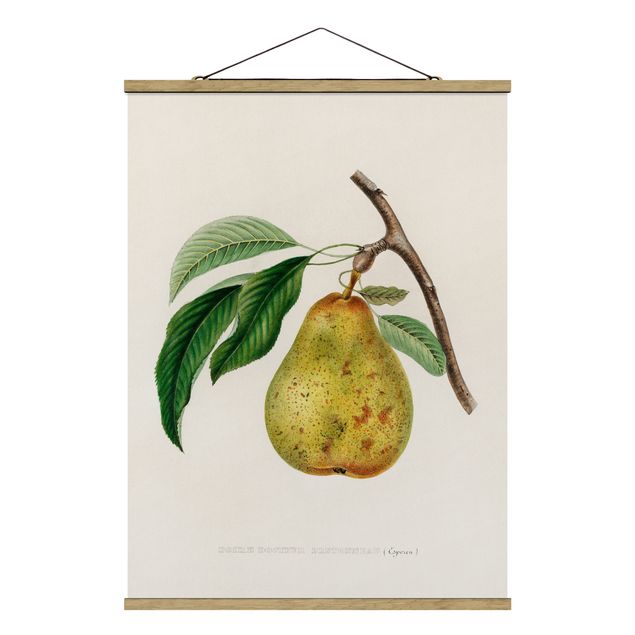 Wanddeko Büro Botanik Vintage Illustration Gelbe Birne