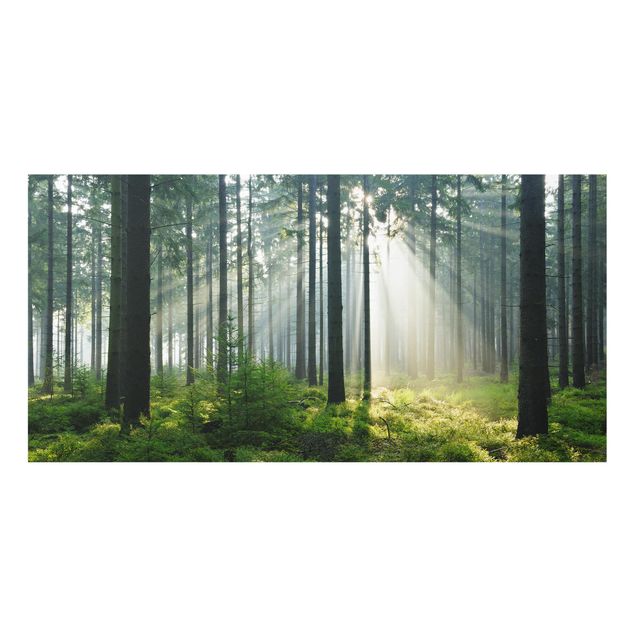 Wanddeko Bäume Enlightened Forest