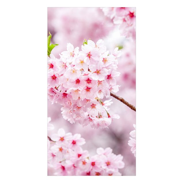 Wohndeko Asia Japanische Kirschblüten