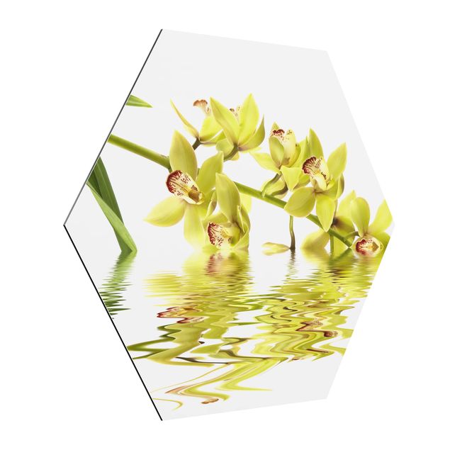 Wanddeko Flur Elegant Orchid Waters