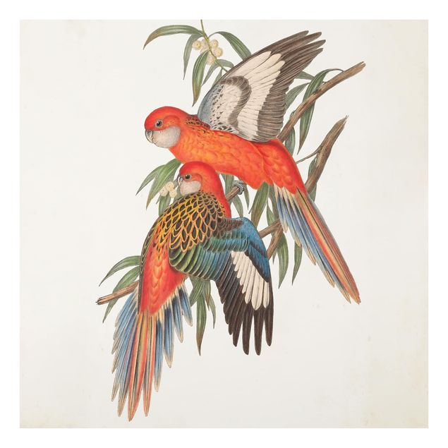Wohndeko Vintage Tropische Papageien I
