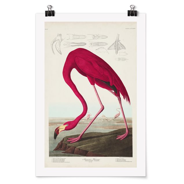 Wanddeko Büro Vintage Lehrtafel Amerikanischer Flamingo